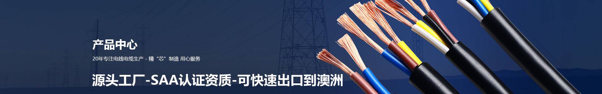 澳標(biāo)SAA扁平電線